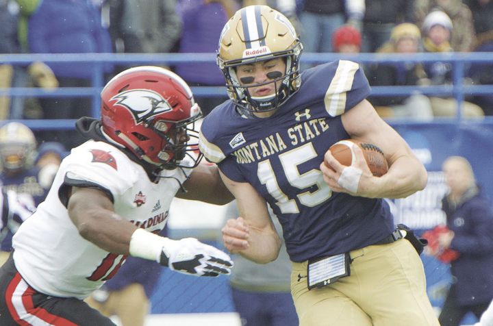 Cats pluck Cardinals in return to playoffs