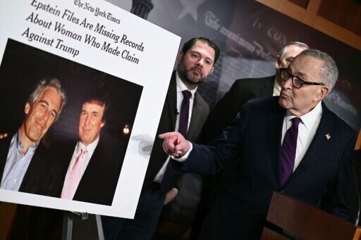 Democrats vow accountability over Epstein 'cover-up'