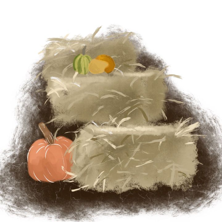 Local Fall Activities That You Can’t Miss Out On