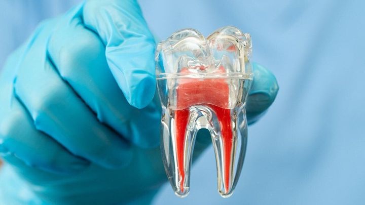 You have 30 minutes to save a knocked-out tooth. Only 27% of US adults know that.