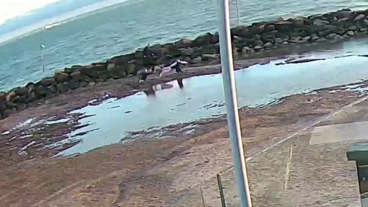 Mom and daughter dramatically saved from sinking sand