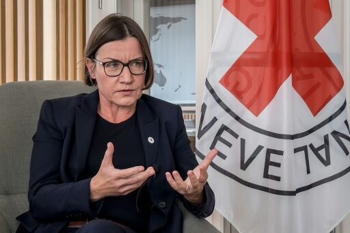 Red Cross urges Afghanistan-Pakistan 'de-escalation'