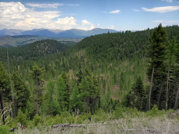 Montana DNRC seeks public input on state trust land recreation rules