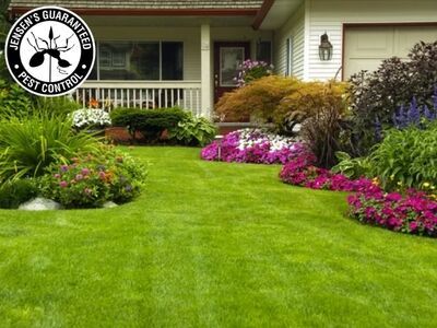 Jensen’s Guaranteed Pest Control Emphasizes Year-Round Prevention and Structural Protection for Ogden Properties