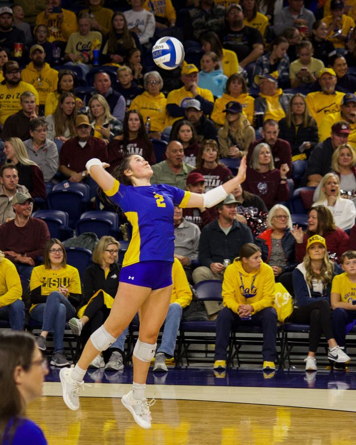 Bobcats fall to Grizzlies in Brawl of the Wild volleyball