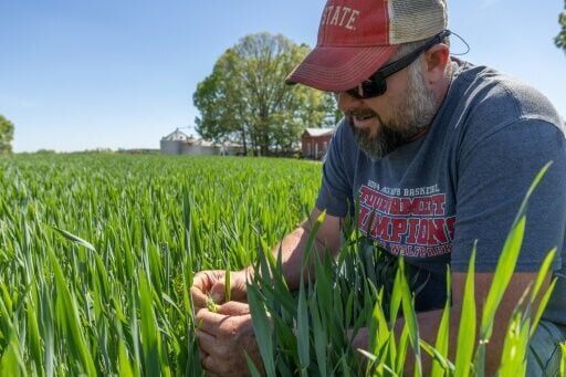 'Blindsided': US farmers strained as fertilizer costs surge on war