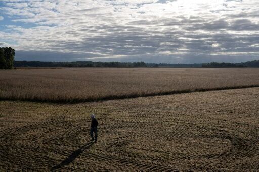 Fertilizer prices surge from Iran war, squeezing weary US farmers