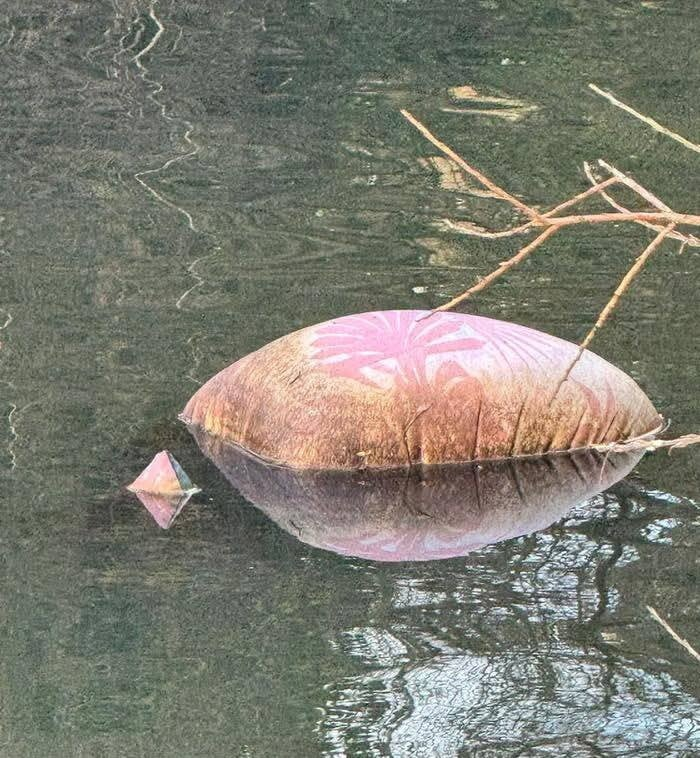 Wildlife rescuers rush to save goose that turned out to be a cushion