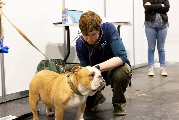 Study reveals how to protect dogs from deadly breathing condition