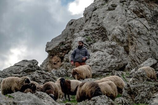 Iraqi Kurdish shepherds stoic in face of yet another war