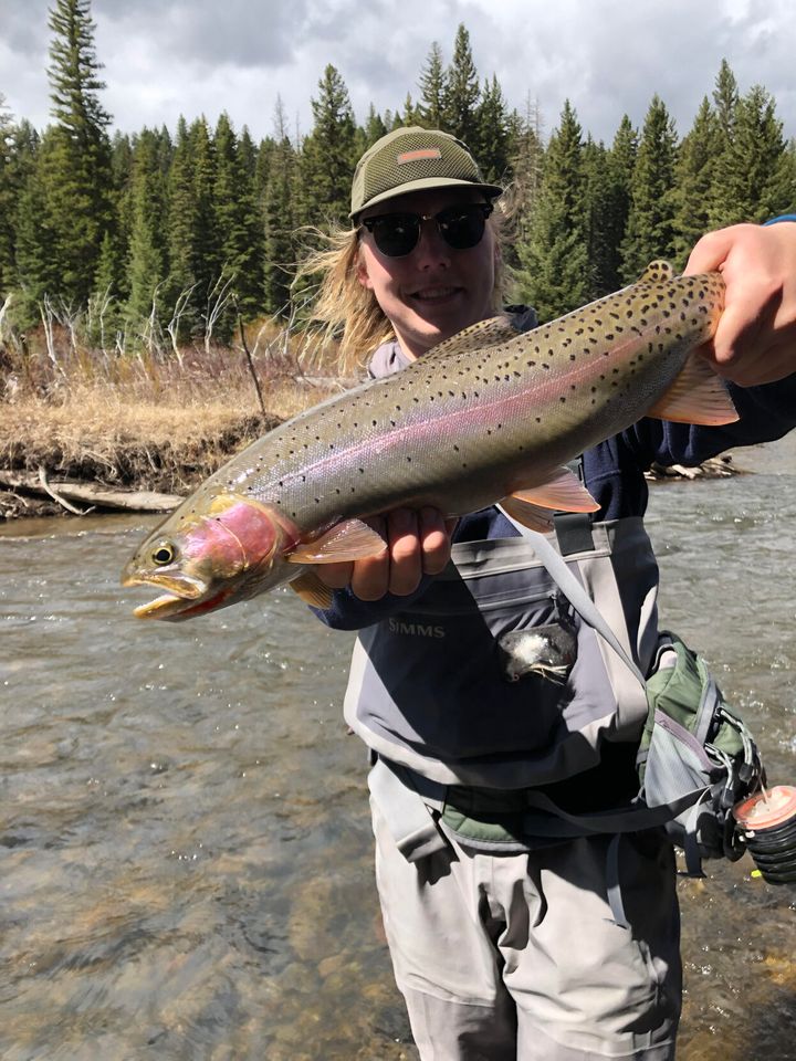 Cast a line with the Bozo Trout Bums