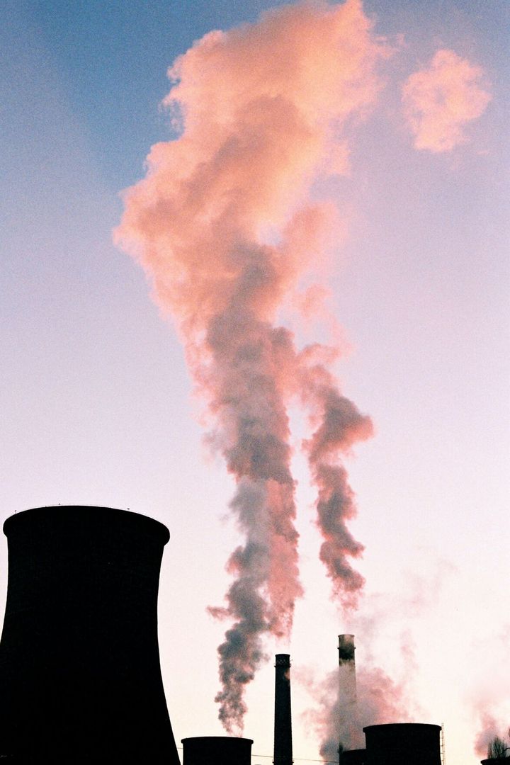 Scientists protest for climate action in wake of new climate report
