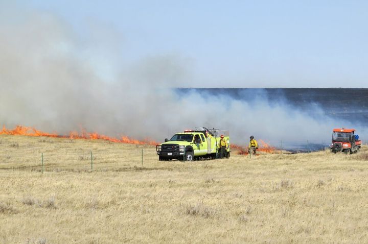 MSU professor explains how wildfires impact Montana ecosystems