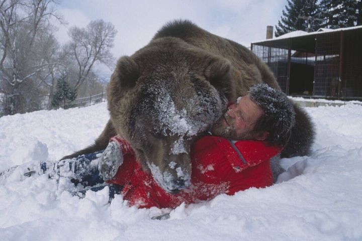 Do animals have a future on Hollywood sets?