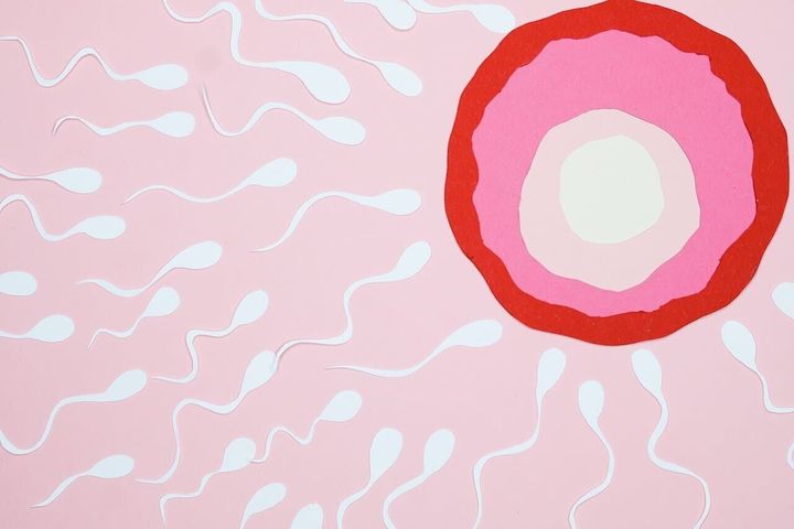 Mom of five discovers husband was secret sperm donor