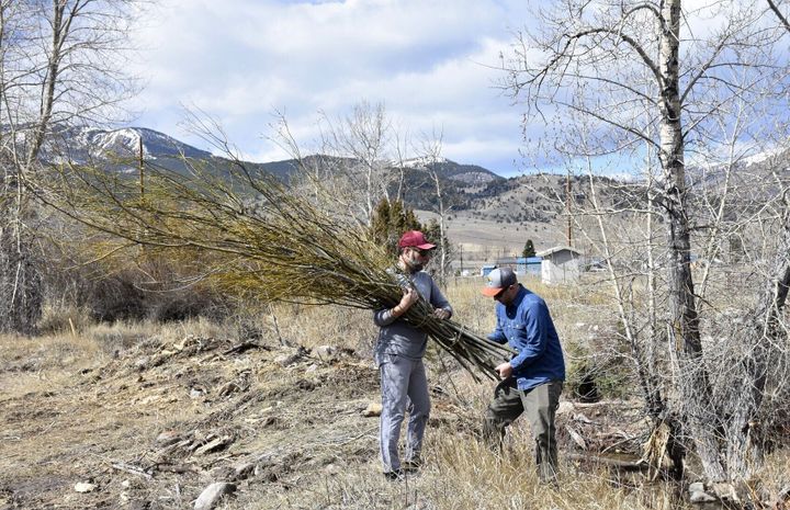 Riffle-and-Pool: Carving a new home for fish habitat in Anaconda's Fifer Gulch Creek