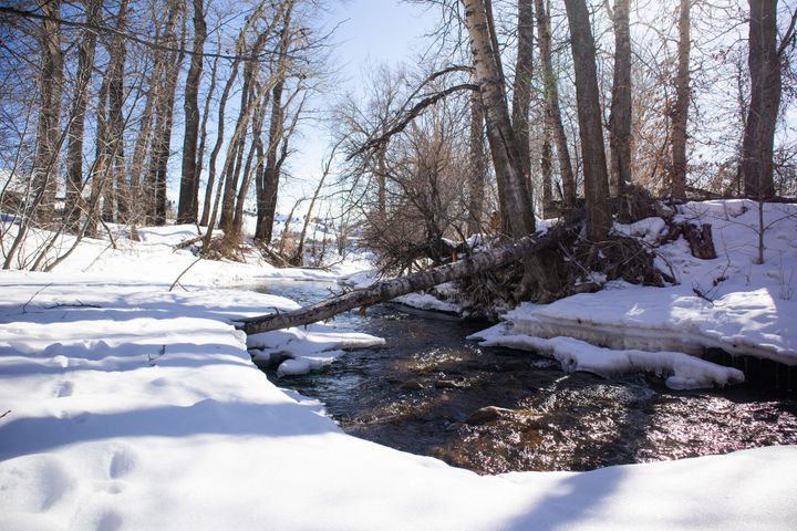 Lyman Creek water rights dispute continues between landowners and city of Bozeman