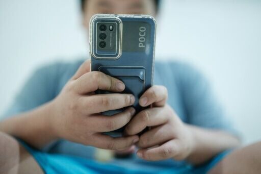 Indonesia eyes e-commerce ban for under-16s: minister to AFP