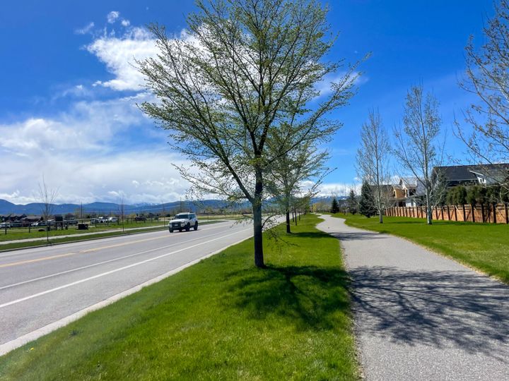 Bozeman to hold public engagement meeting on updated urban forest plan