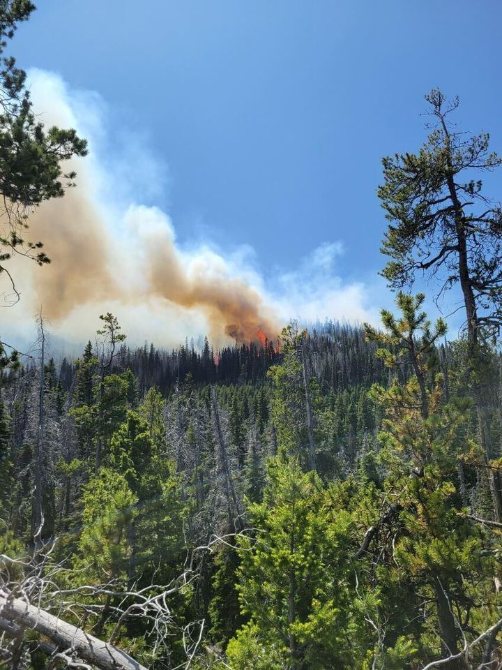 The fire season ahead of Montana for 2026