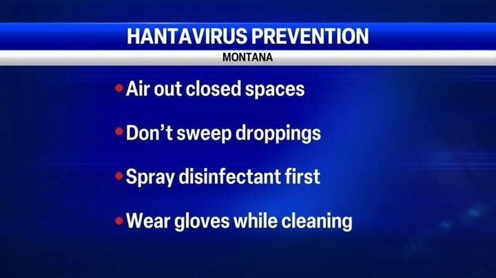 Montana health officials share hantavirus cleaning safety tips