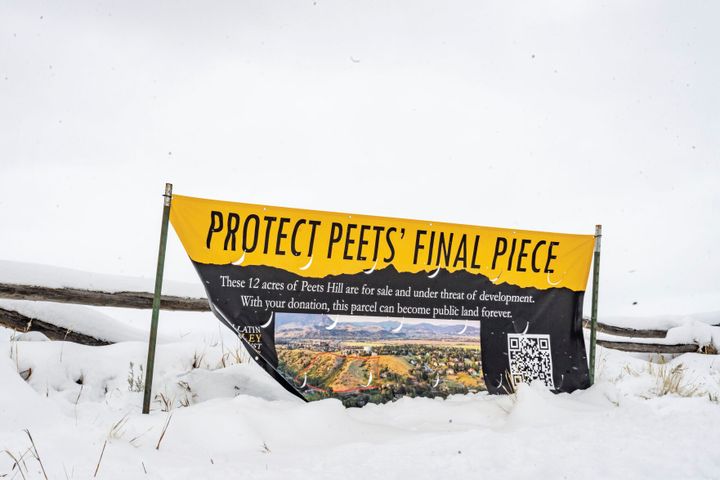 Future of Peets Hill up for bidding