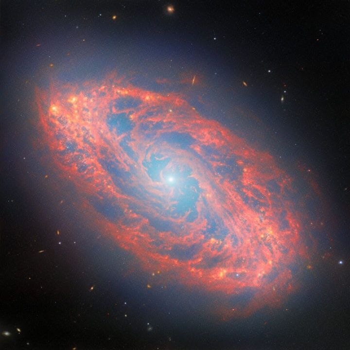 James Webb Space Telescope captures galaxy from T. rex era