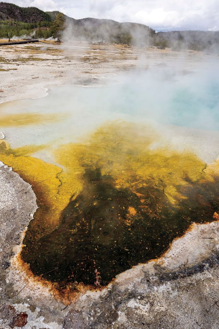 Yellowstone's seasonal reopening