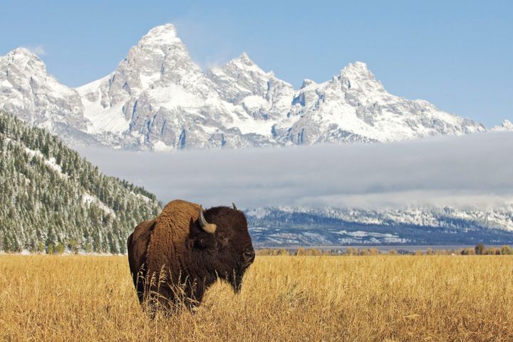 MSU receives ten-million dollar grant in “The Mountains and Plains Thriving Communities Collaborative”