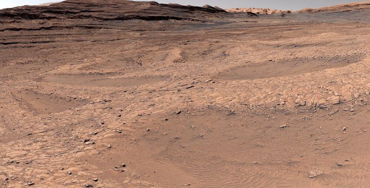 Spiderwebs on Mars? NASA rover spots bizarre landscape