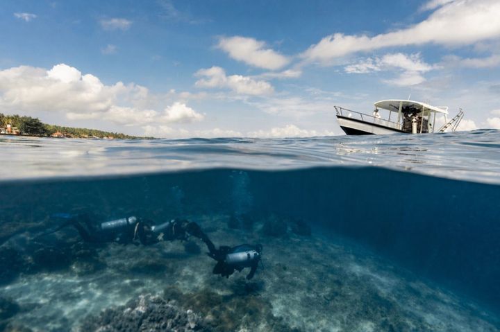 Scuba-diving tourists unwittingly destroying coral reefs
