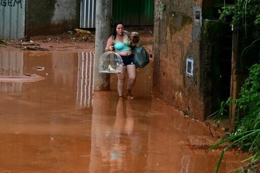 Dogs, birds and a calf rescued after deadly rains in Brazil