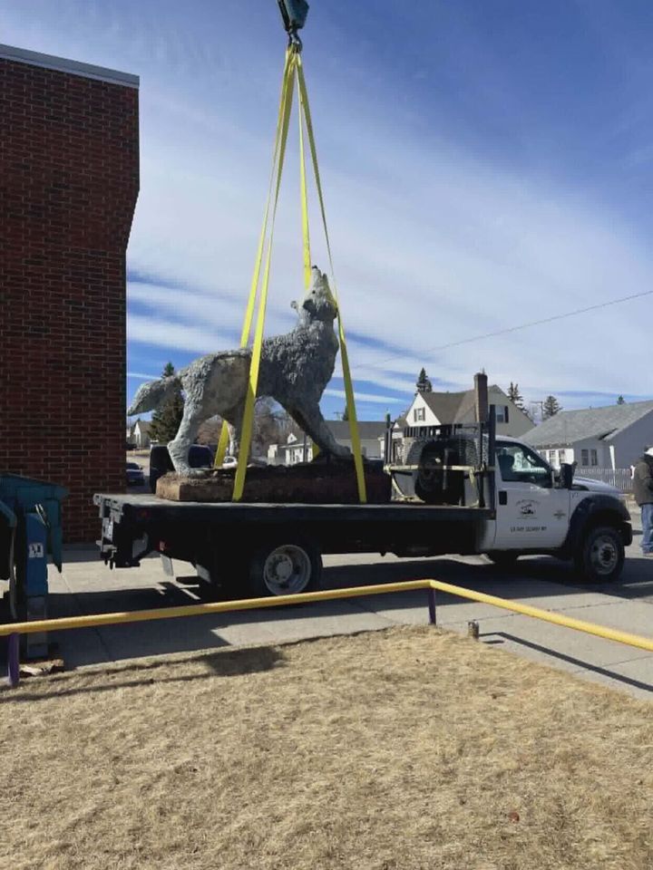 Cut Bank wolf mascot finds new home at Glacier County Historical Museum