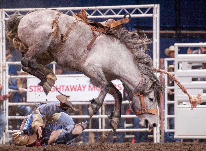 Bringing the outside in: Spring Rodeo returns to Bozeman
