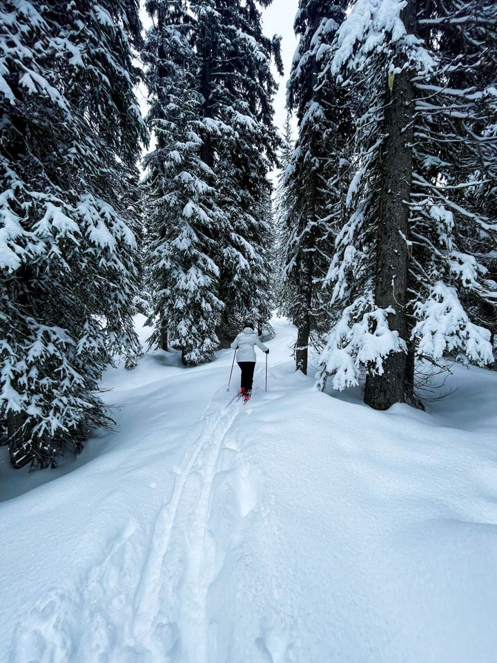 Level 1 Freeski Film Tour builds excitement for ski season