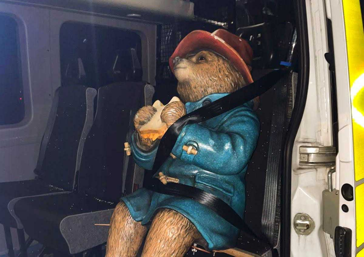 How Paddington Bear ended up in the back of a police van