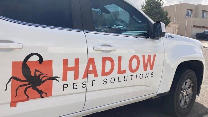 Albuquerque Pest Control Cost & Reviews Guide for Homeowners Announced