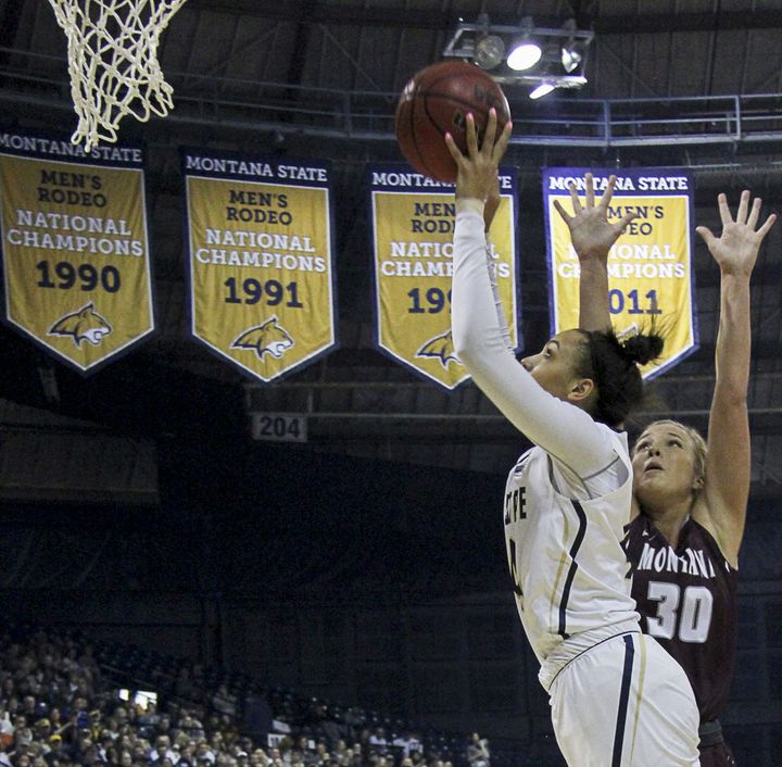 Cats split with Griz at home