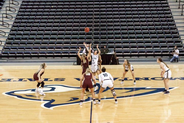 Cats send Griz back into hibernation