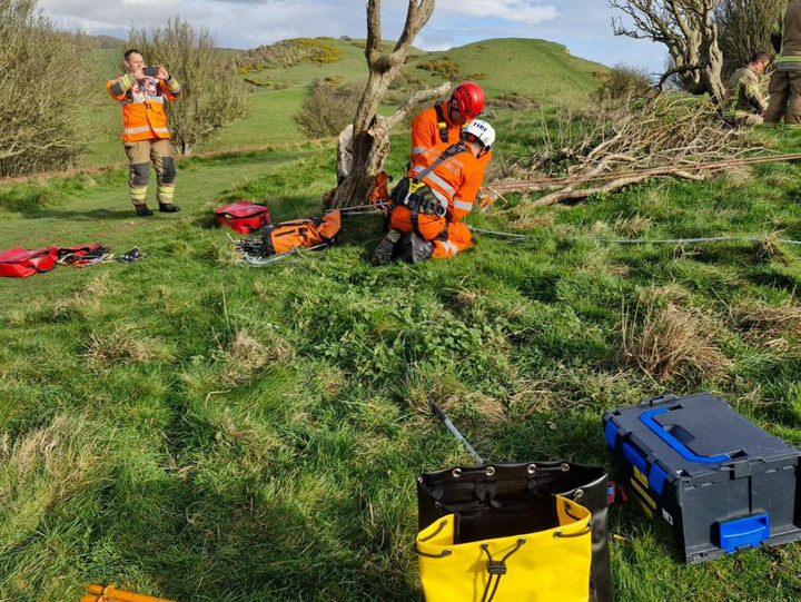 Dog rescued after falling off cliff edge