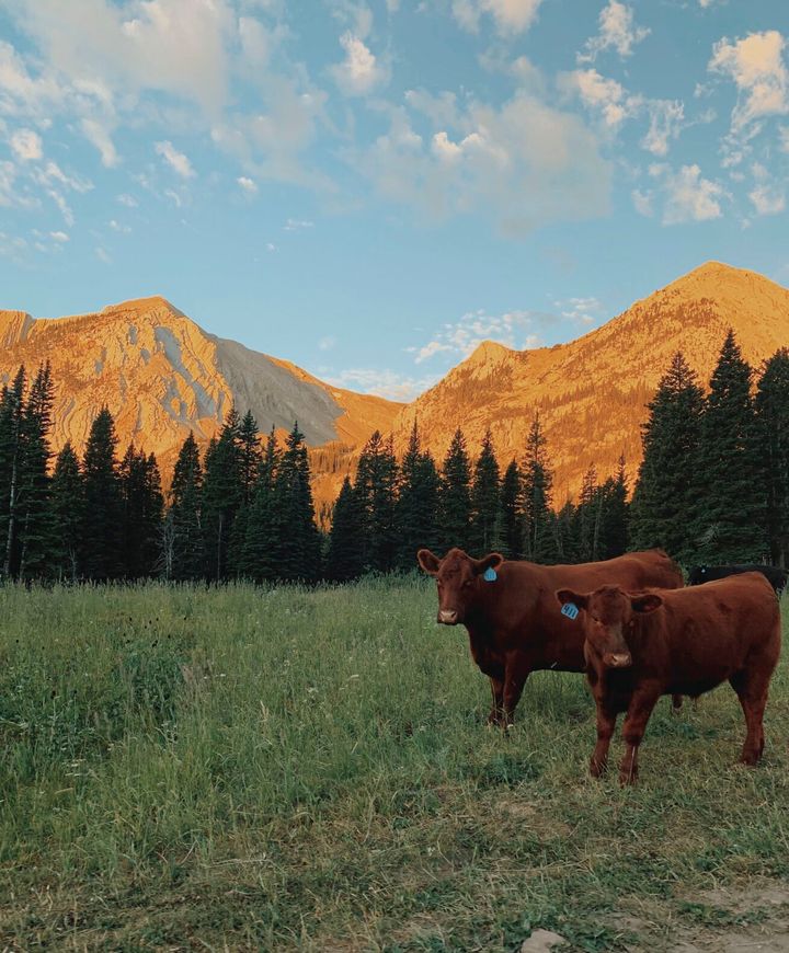 What’s on the editors’ radar for summer 2023