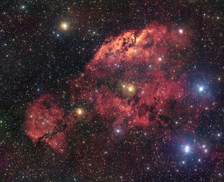 Biggest light telescope in world captures ‘dragon head’ nebula