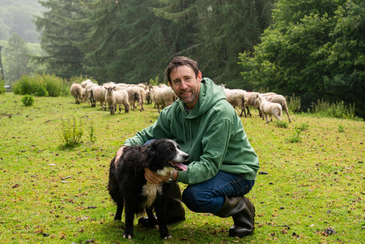 Farmer shocked over complaints about his dog bothering own sheep
