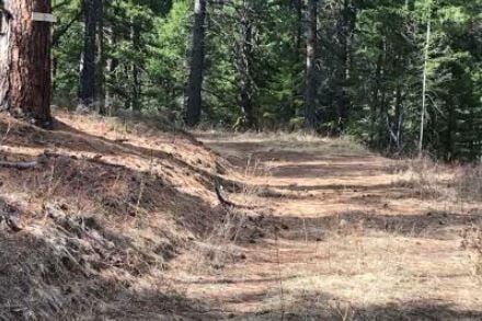 Groups threaten lawsuit over Bitterroot Front logging project