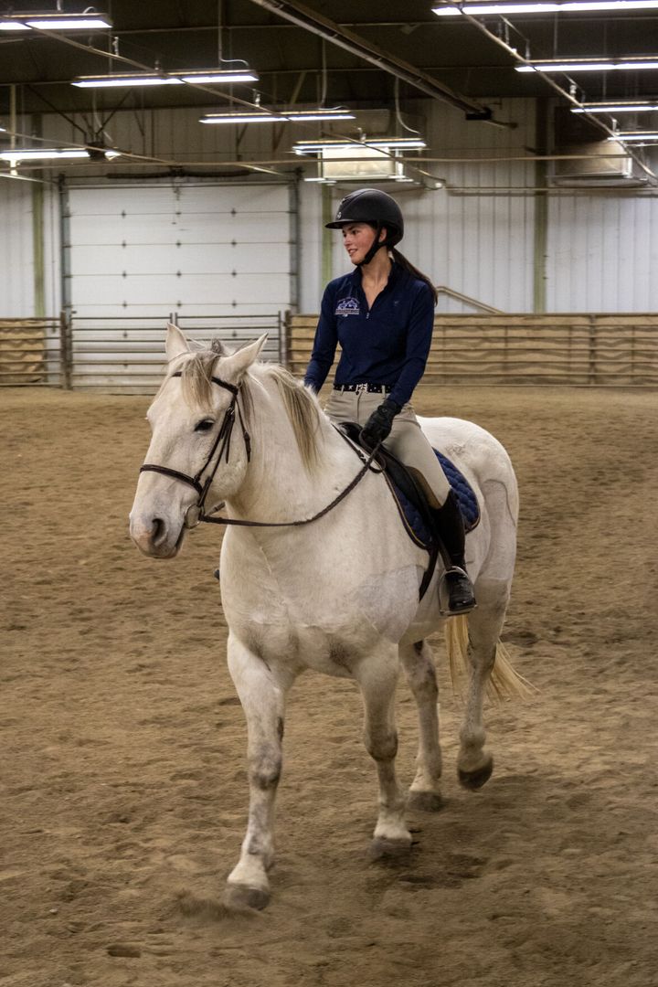 MSU Equestrian team wins High Point Team