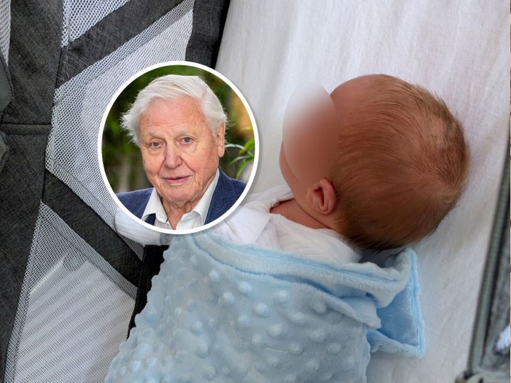 Baby born on David Attenborough’s 100th birthday named after him