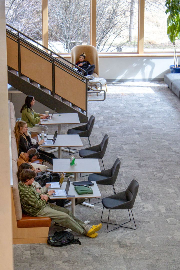 MSU Students Should Use the Public Library More