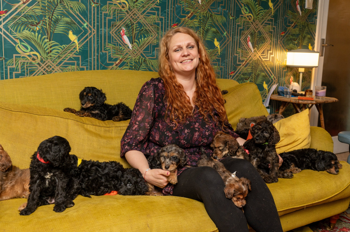 Dog gives birth to record-breaking $30,000 puppy litter
