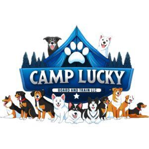 Camp Lucky Board and Train, Oklahoma City, Shares Cane Corso Transformation Success Story