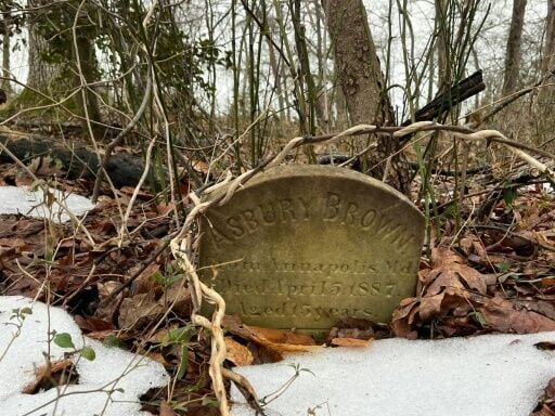'A crime scene': US researchers examine unmarked graves of dozens of Black children